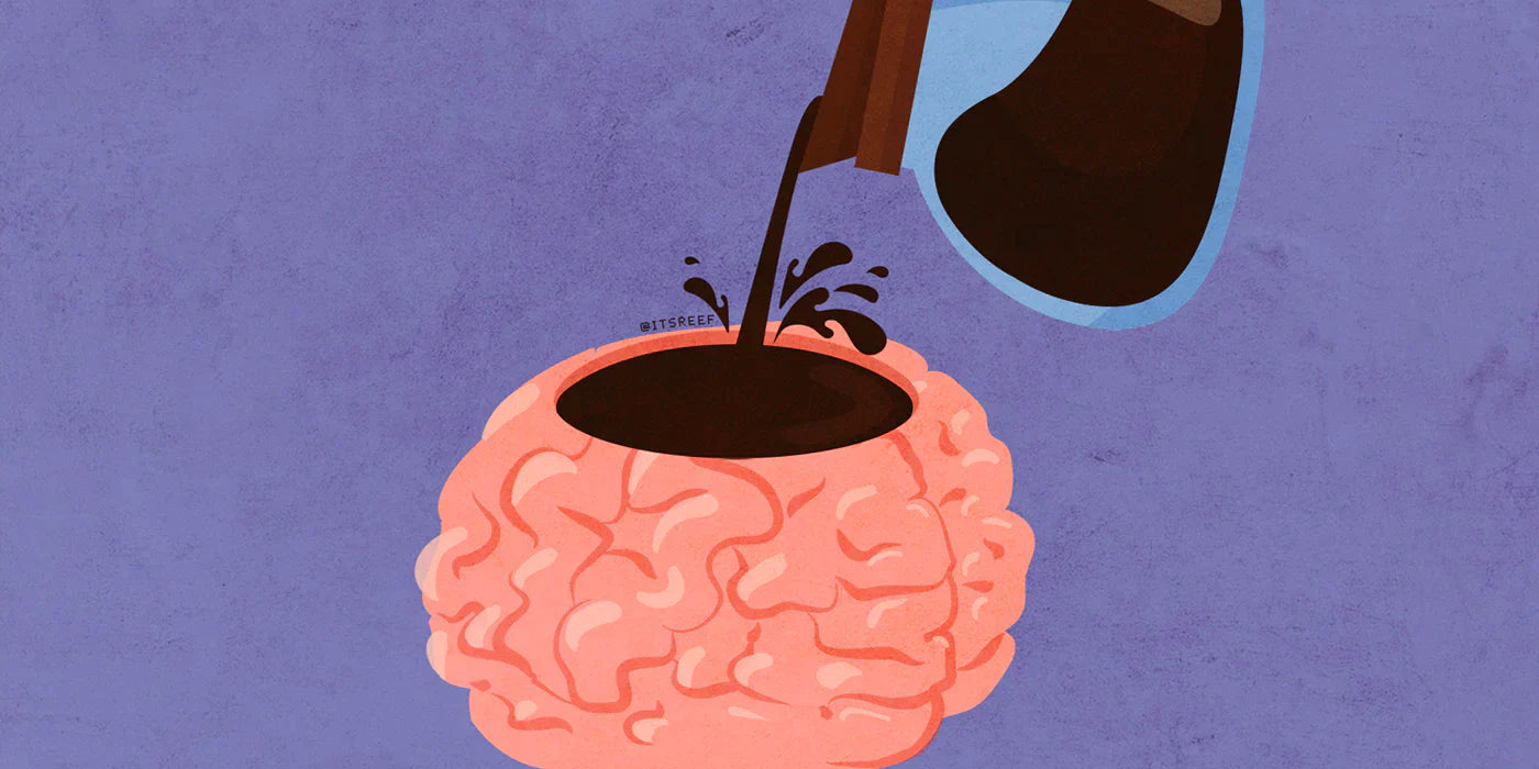 The Brain on Coffee and It's Impact on Historical Decisions Seven Trees Coffee