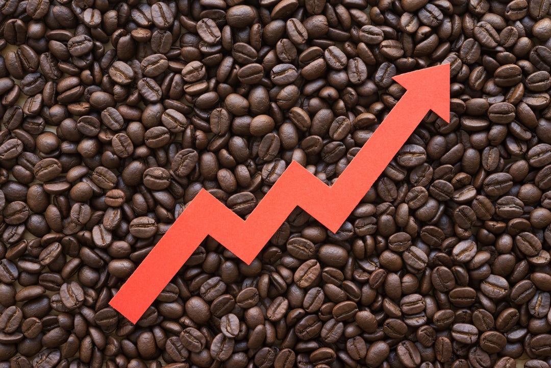 The Rising Cost of Green Coffee Beans: What Coffee Enthusiasts Need to Know